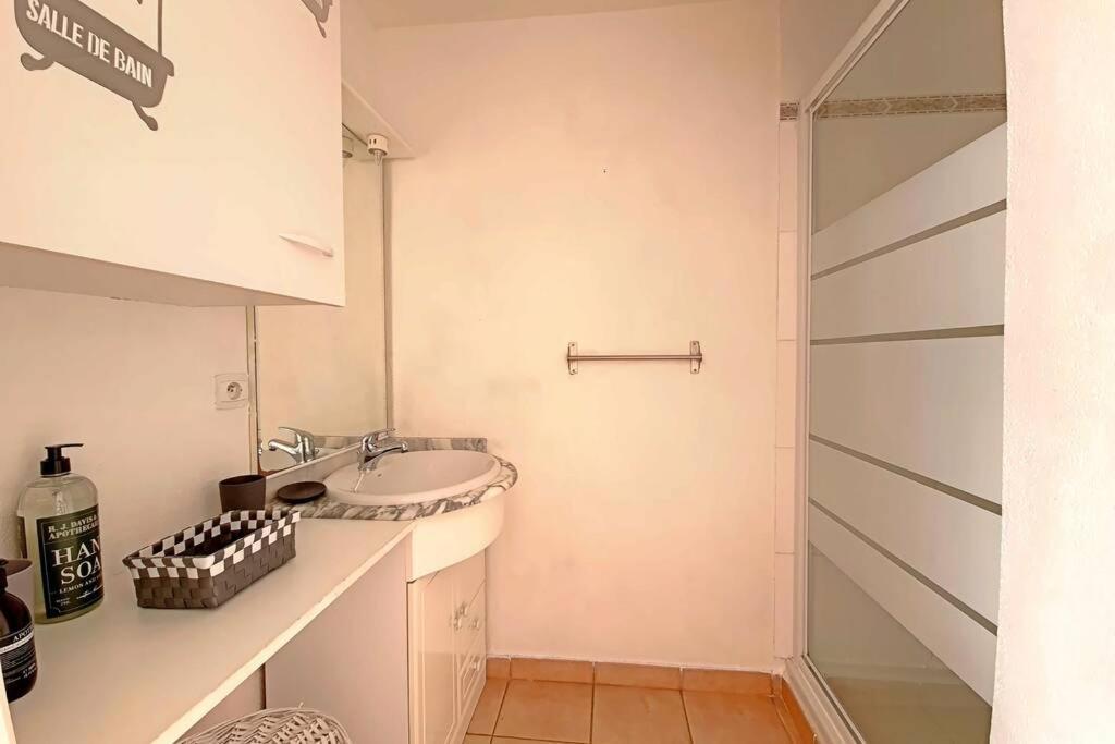 Ref Ls54 : Maison 4 Pers Mas Des Manadiers K1 Σαιντ-Μαρί-ντε-λα-Μερ Εξωτερικό φωτογραφία